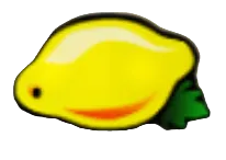 🍋 Citrón