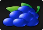 Hrozno stredný ovocný symbol slot